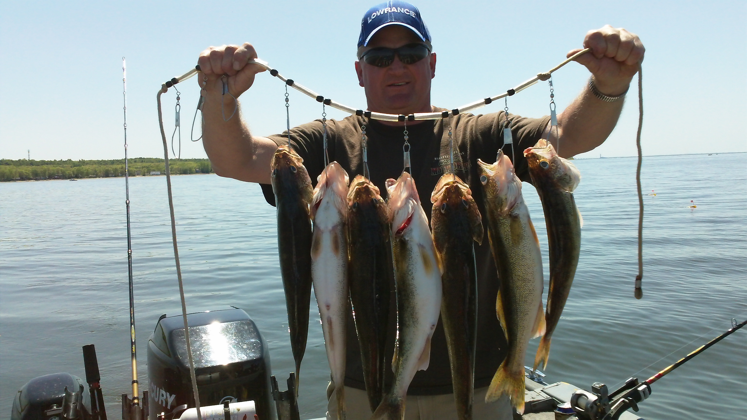 Jim Smit with a stringer of Green bay walleyes caught on custom spinner rigs